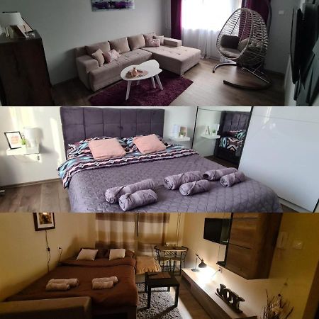 Grey & Sunny Apartments ザイェチャル エクステリア 写真