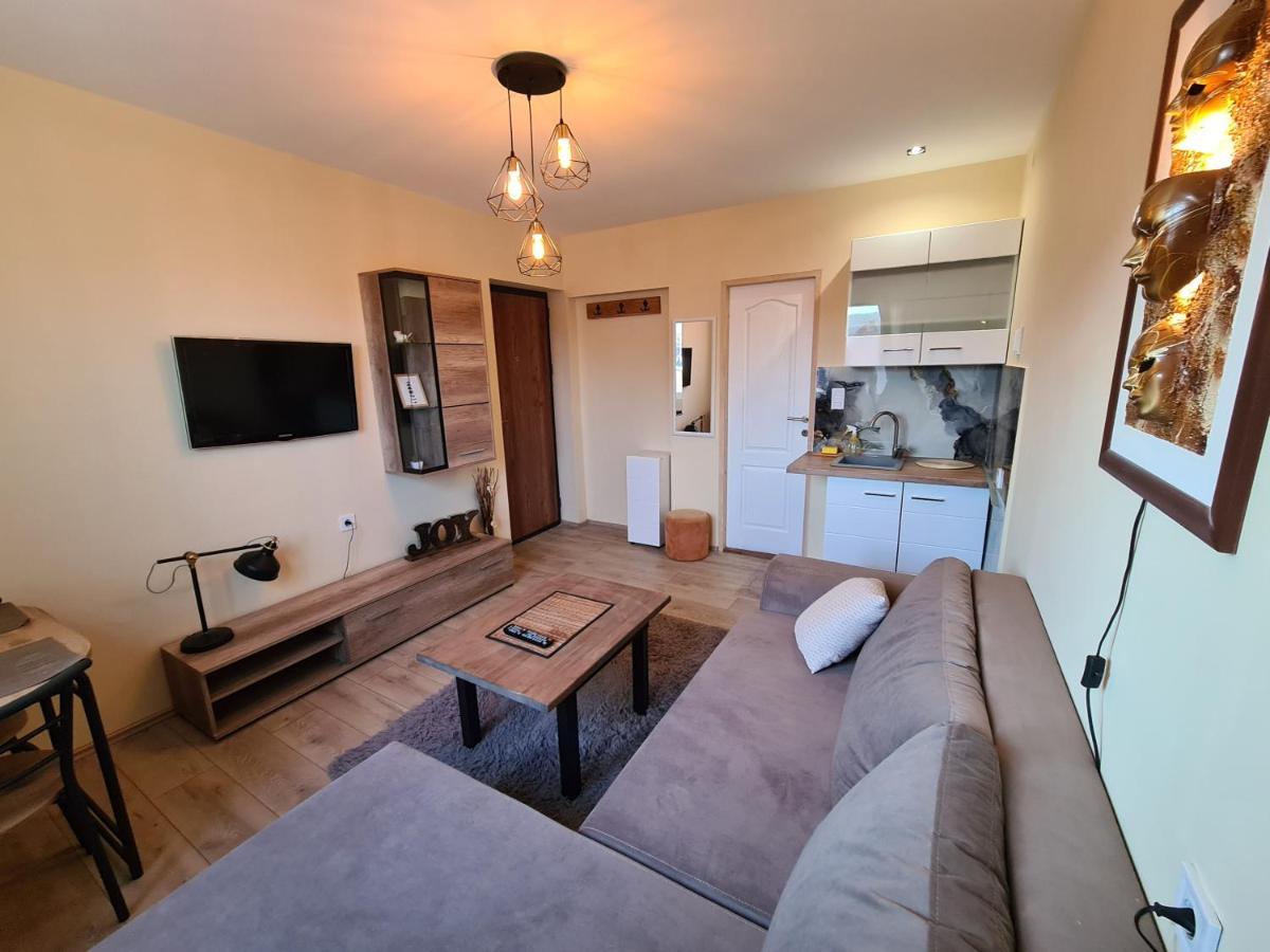 Grey & Sunny Apartments ザイェチャル エクステリア 写真